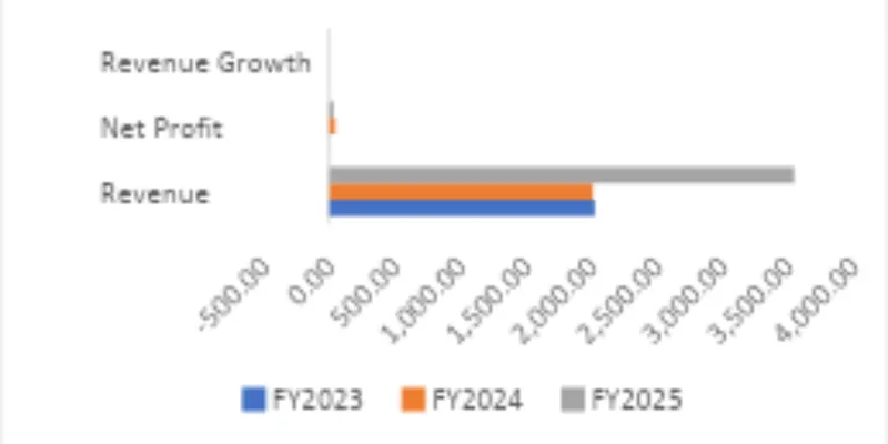 Financial Statement Analysis